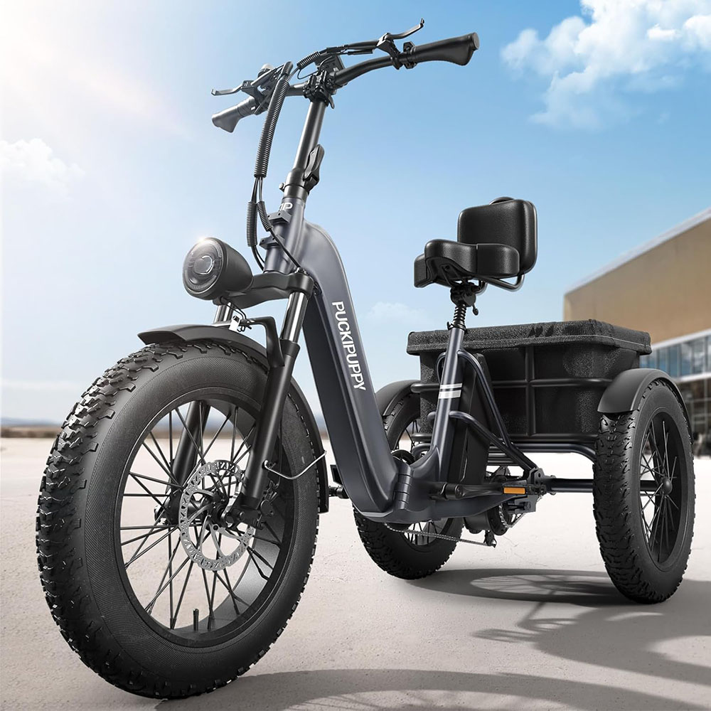 Electric Fat Trike 48V 1000W snowmobile Electric three-wheeled fat ebike 20-24inch