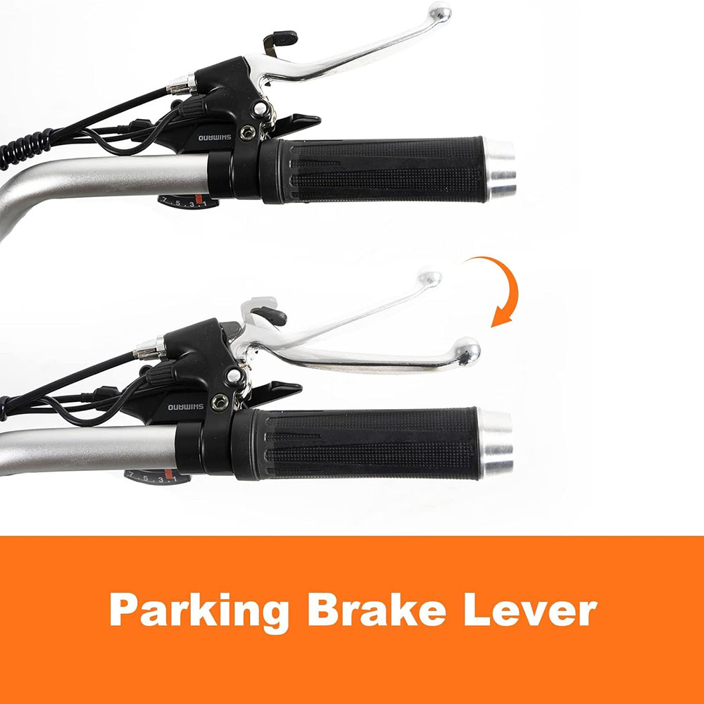 DWMEIGI 3 Wheel Electric Bike